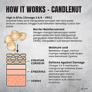 Akuna Botanical Classic Candlenut Lotion 50gr